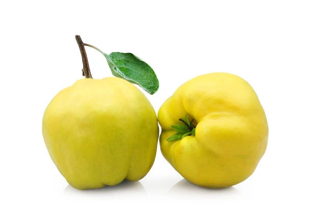 product card image