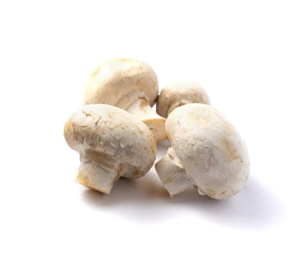 product card image